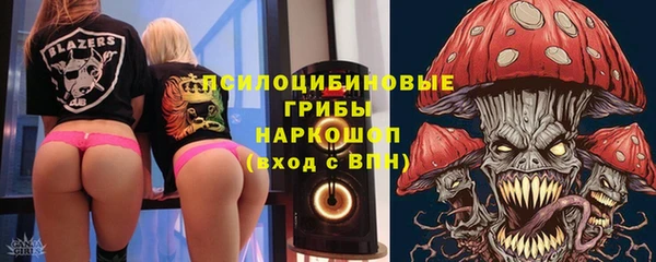 Альфа ПВП Гусь-Хрустальный