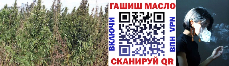 дарк нет состав  Мезень  ТГК вейп 