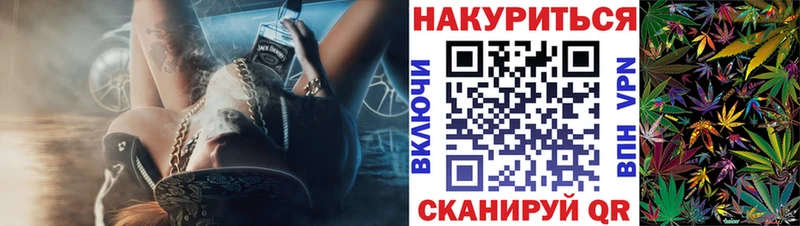 Каннабис планчик  Мезень 